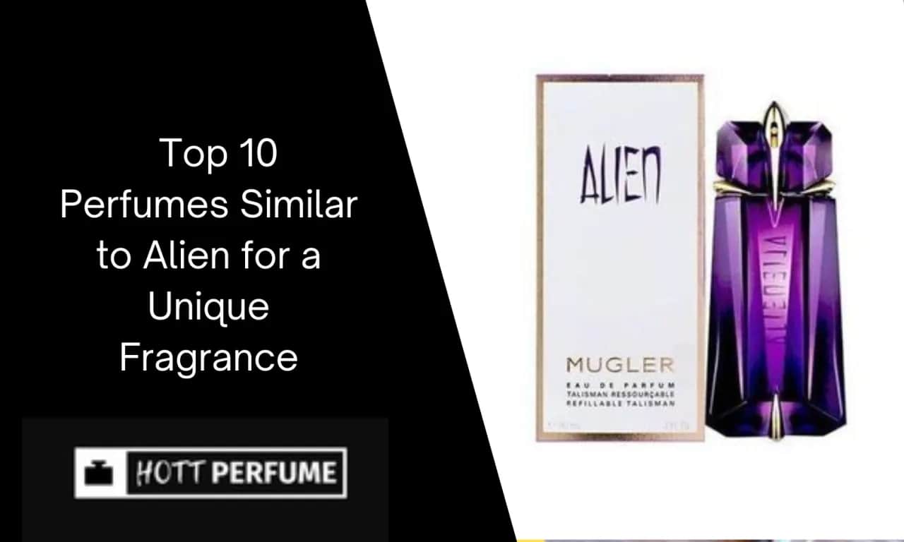 Alien Duftalternativen finden: Die besten Dupes & ähnliche Düfte